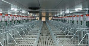 養(yǎng)殖企業(yè)污水壓濾處理